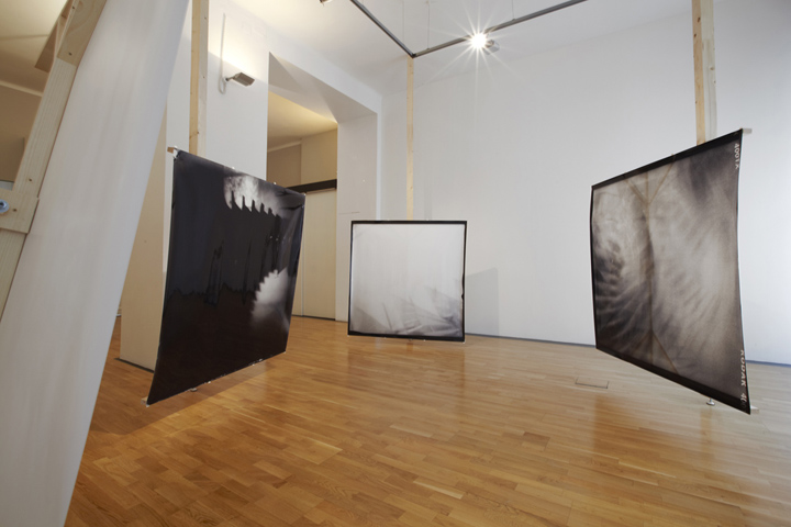 � Lisa Rastl